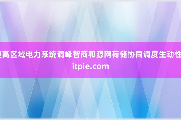 提高区域电力系统调峰智商和源网荷储协同调度生动性bitpie.com