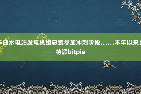 羊曲水电站发电机组总装参加冲刺阶段……本年以来比特派bitpie