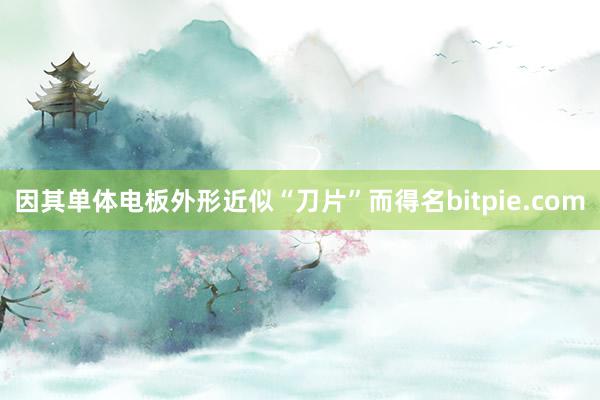 因其单体电板外形近似“刀片”而得名bitpie.com