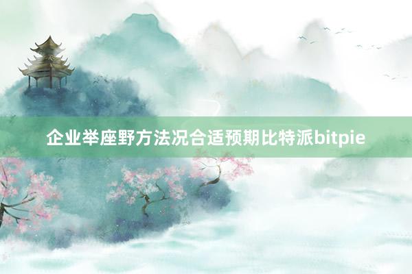 企业举座野方法况合适预期比特派bitpie