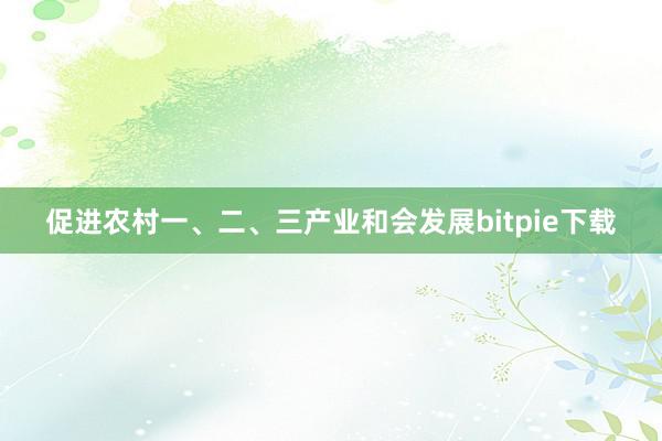 促进农村一、二、三产业和会发展bitpie下载