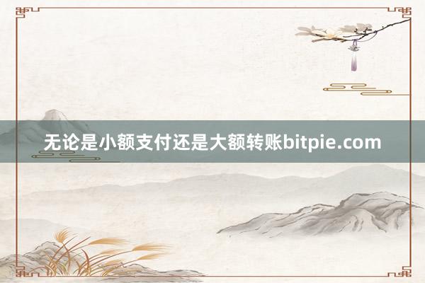 无论是小额支付还是大额转账bitpie.com