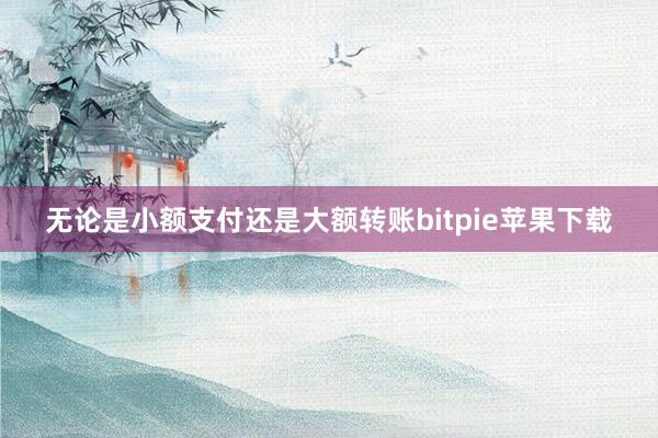 无论是小额支付还是大额转账bitpie苹果下载