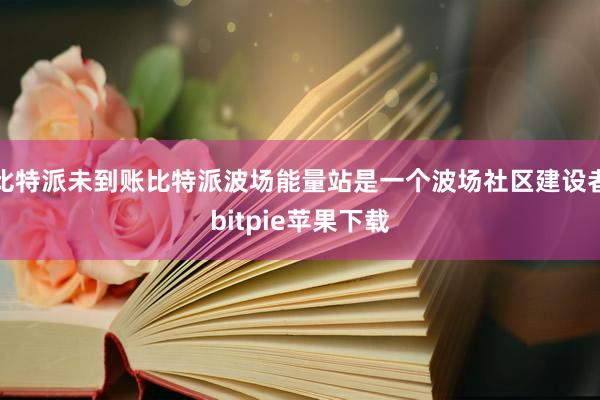 比特派未到账比特派波场能量站是一个波场社区建设者bitpie苹果下载