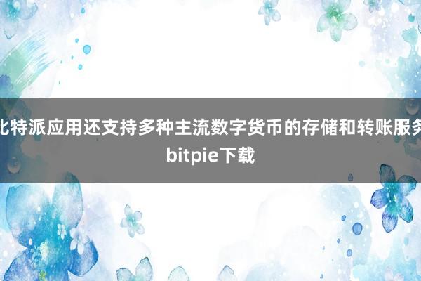 比特派应用还支持多种主流数字货币的存储和转账服务bitpie下载