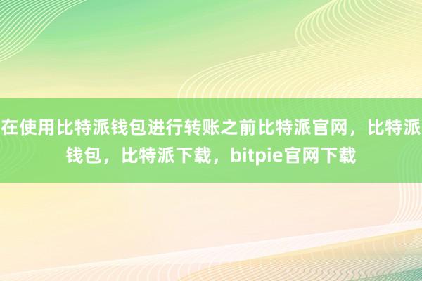 在使用比特派钱包进行转账之前比特派官网，比特派钱包，比特派下载，bitpie官网下载