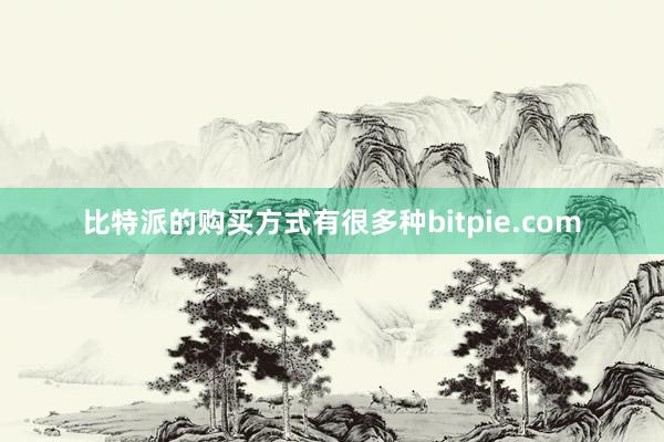 比特派的购买方式有很多种bitpie.com