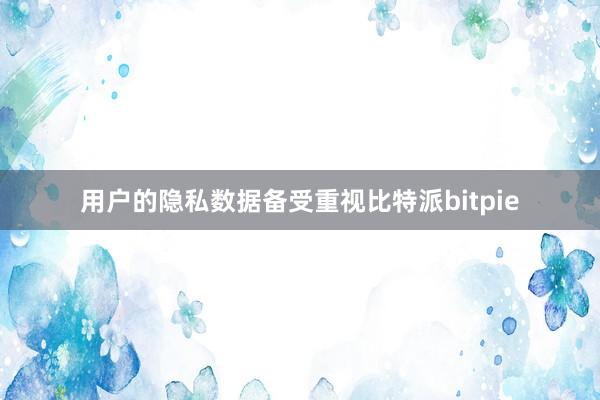 用户的隐私数据备受重视比特派bitpie