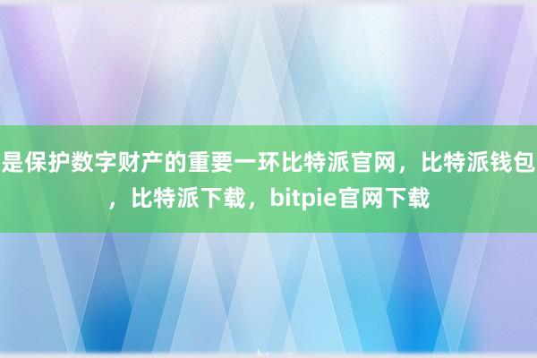 是保护数字财产的重要一环比特派官网，比特派钱包，比特派下载，bitpie官网下载