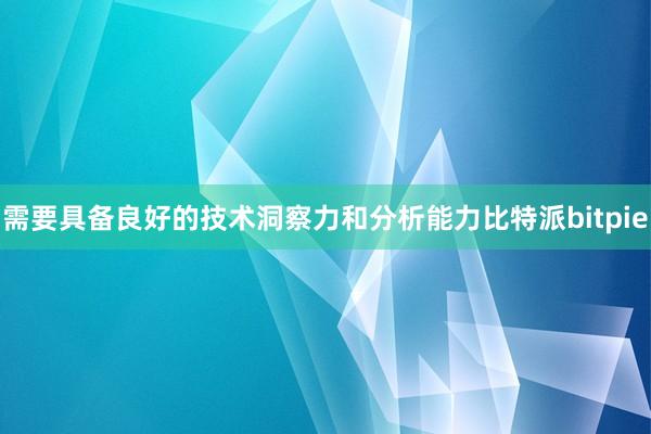 需要具备良好的技术洞察力和分析能力比特派bitpie