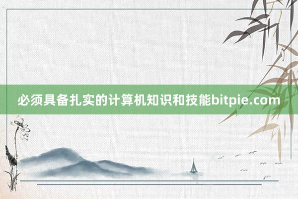 必须具备扎实的计算机知识和技能bitpie.com