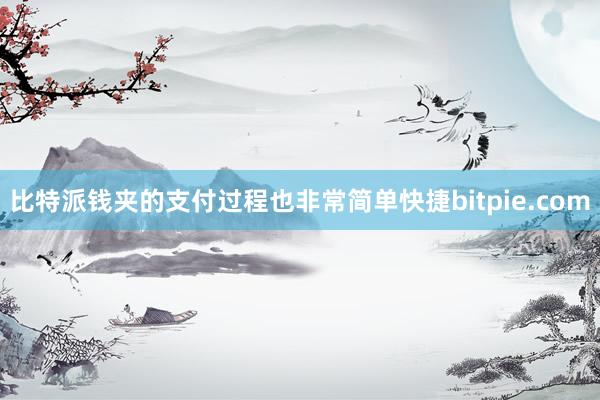 比特派钱夹的支付过程也非常简单快捷bitpie.com