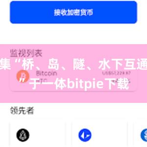 集“桥、岛、隧、水下互通”于一体bitpie下载