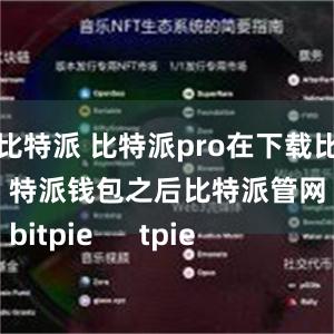 比特派 比特派pro在下载比特派钱包之后比特派管网
bitpie