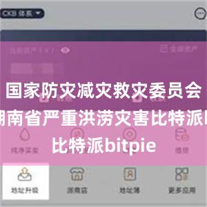 国家防灾减灾救灾委员会针对湖南省严重洪涝灾害比特派bitpie